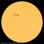 SDO/HMI Continuum Image of the Sun