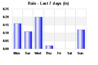 Rain Past 7 days